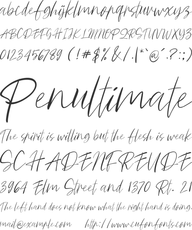 SecureSignature font preview