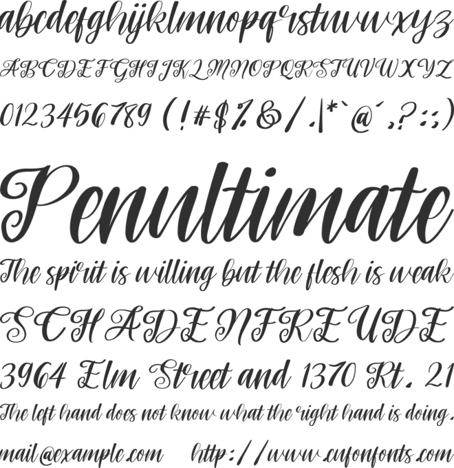 Roses font preview