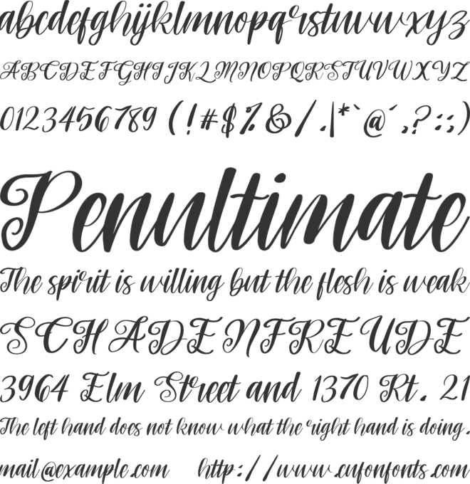 Roses font preview