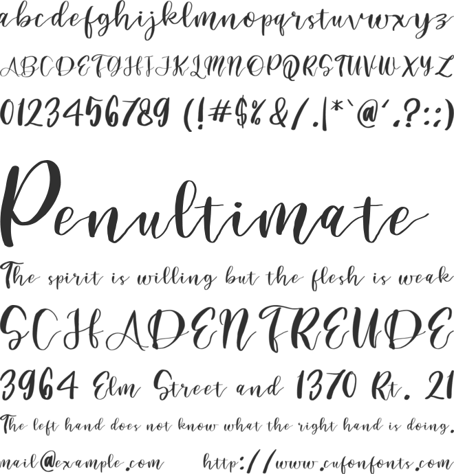 BrownSignature font preview