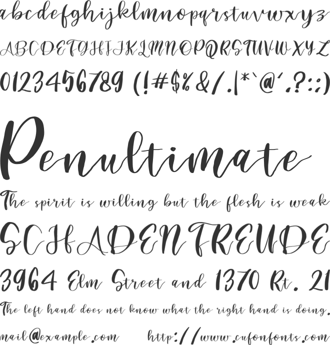 BrownSignature font preview