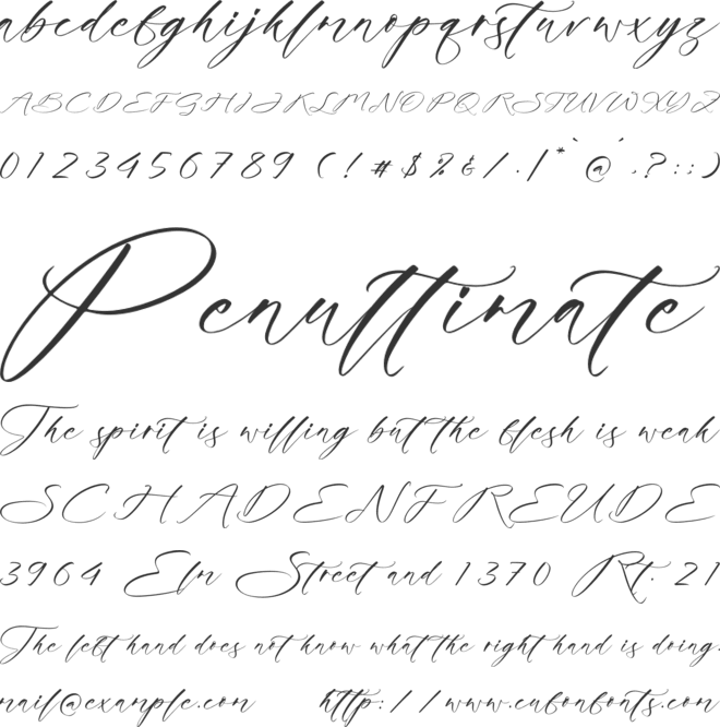 Flomeshine Brigters font preview