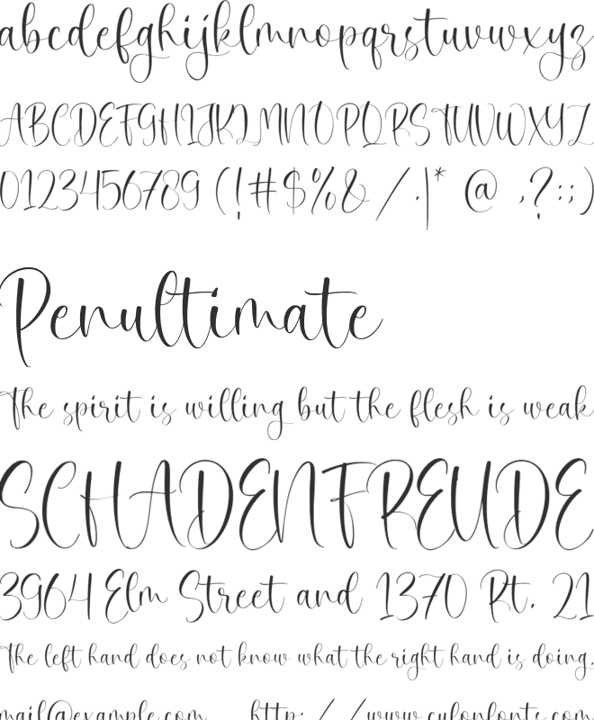 Daisy Perfume font preview