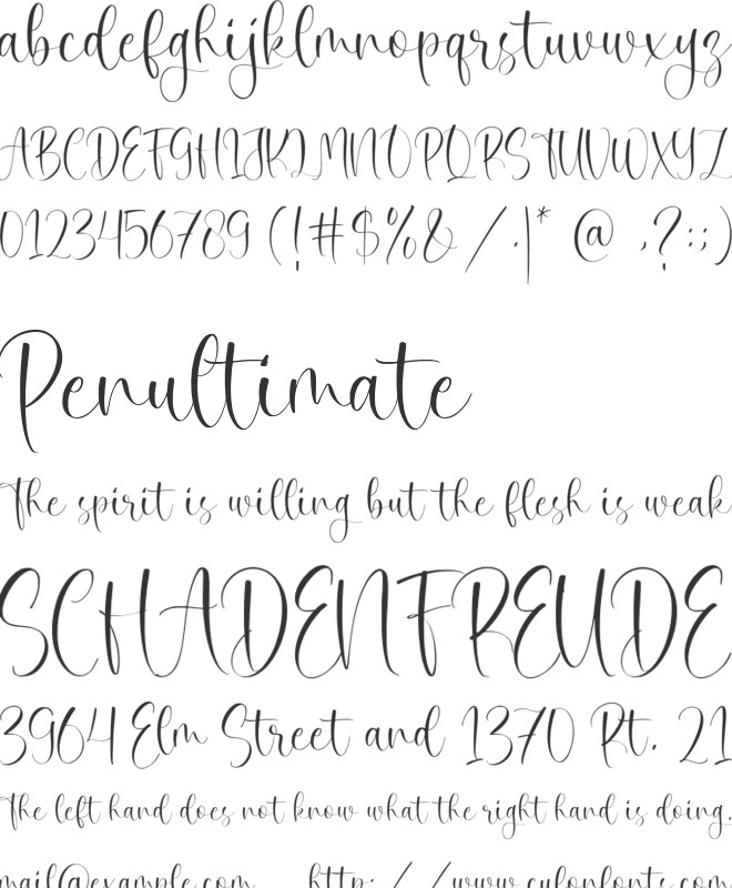 Daisy Perfume font preview
