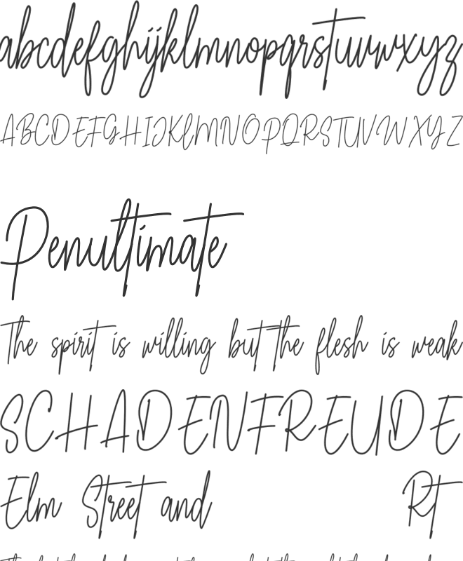 Singature font preview