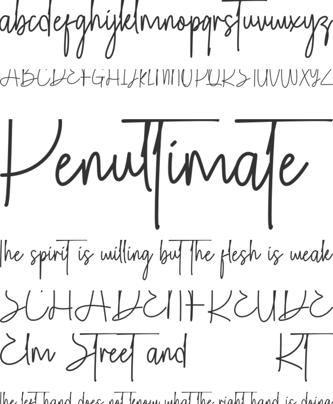 Catania font preview