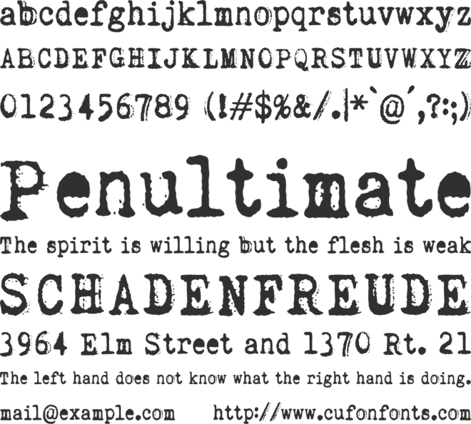 Rough Serif font preview