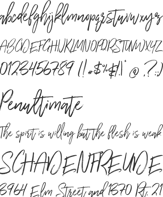 Wilderness Typeface font preview