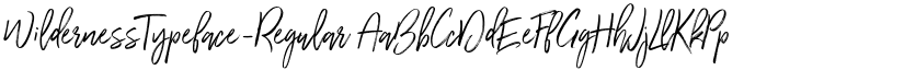 WildernessTypeface-Regular font