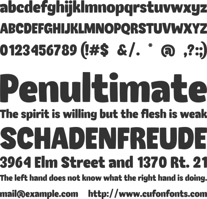 Rustic Shine font preview