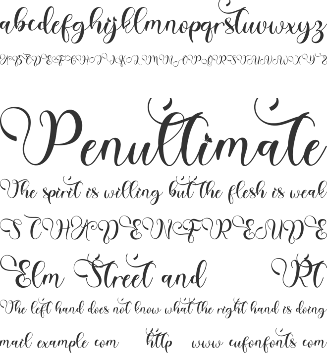 Beautiful Agatha font preview
