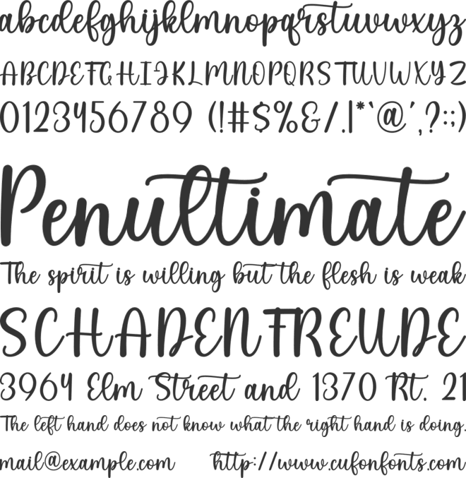 Limited font preview