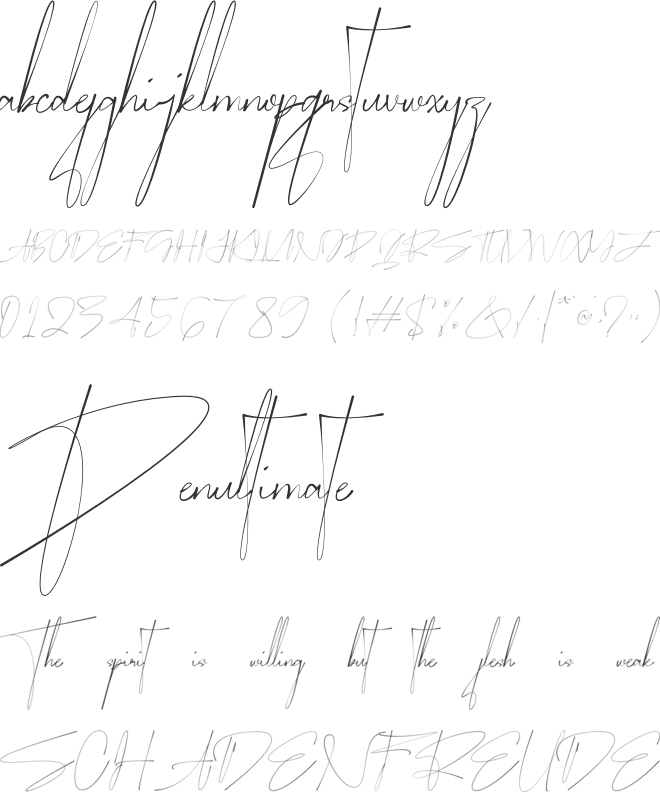 Qentoraga font preview