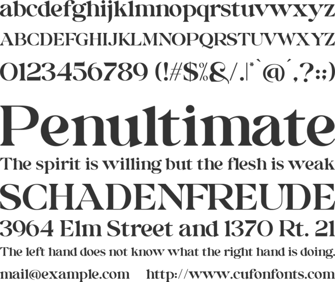 Binter Display Font font preview