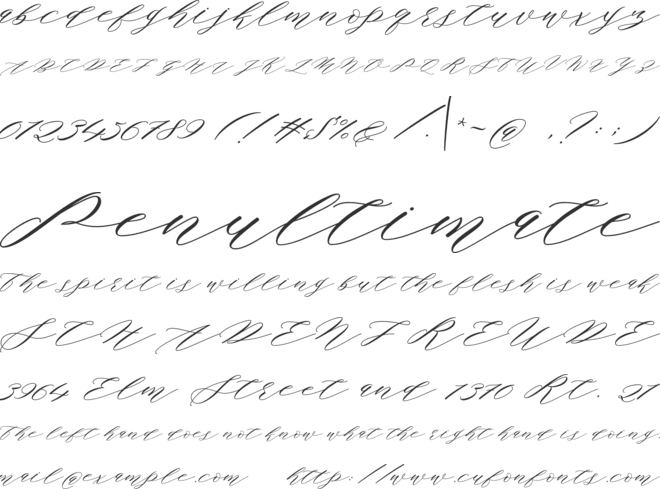 Authentic Script font preview