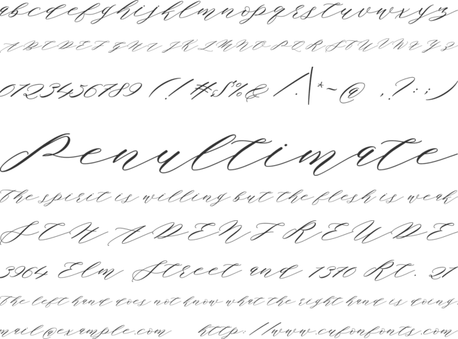 Authentic Script font preview