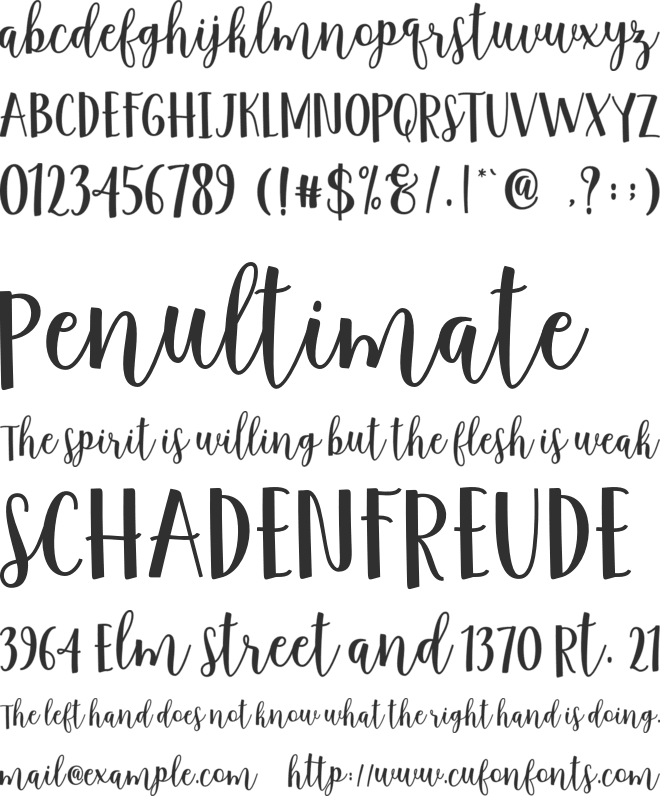 Anindita Script font preview