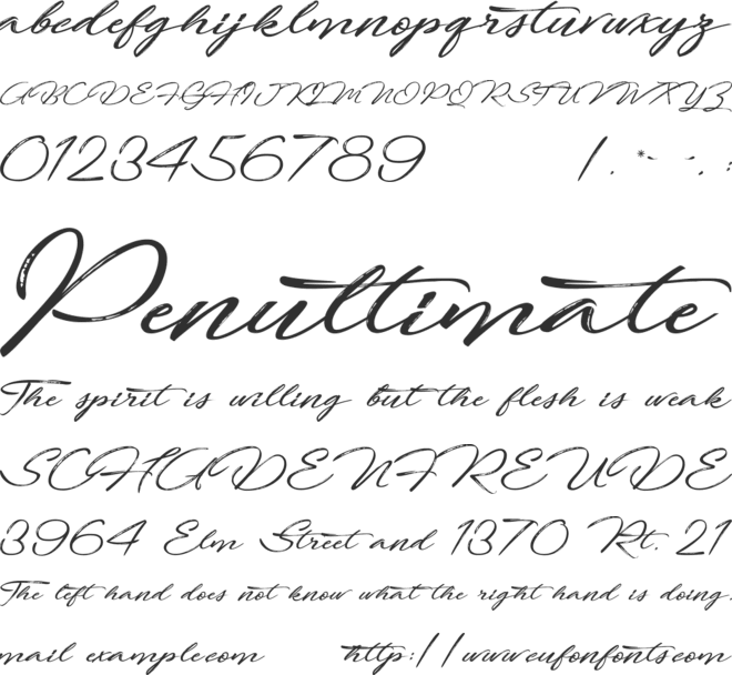 Fortunates December font preview