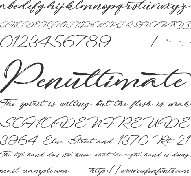 Fortunates December font preview