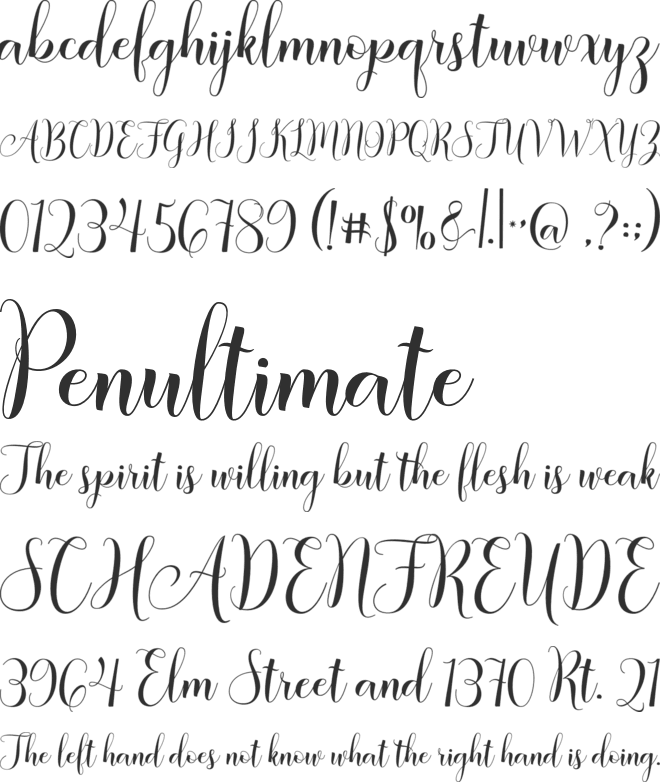 Amberland Script font preview