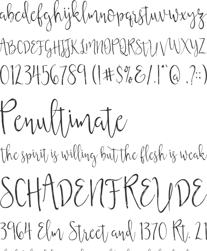 Aintzane Script font preview