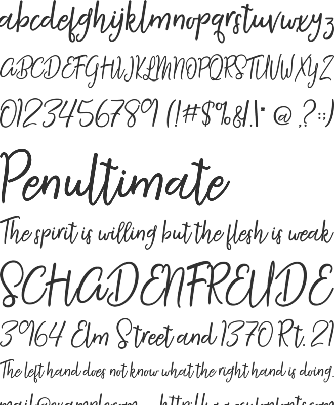 Agustine Script font preview