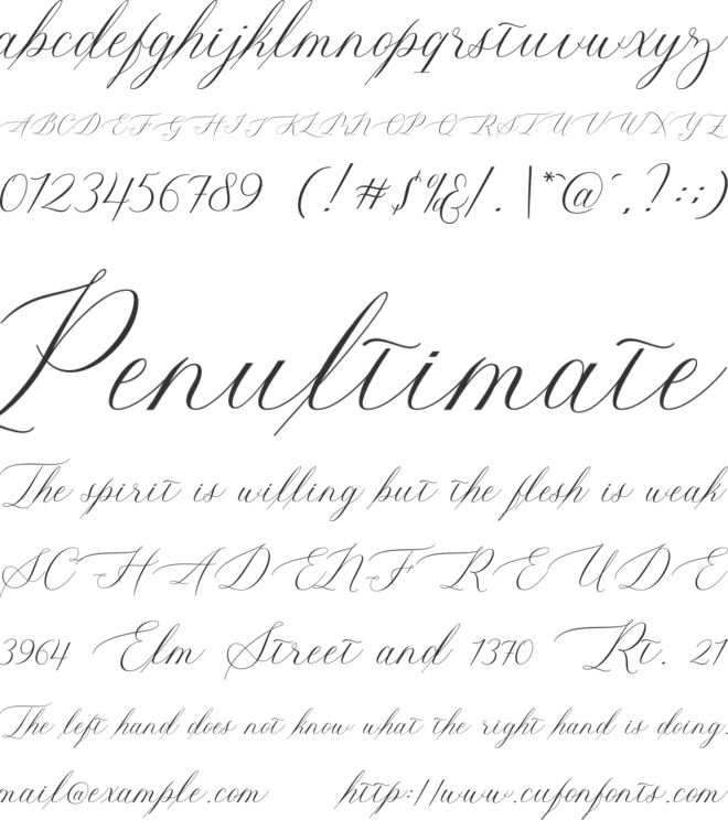 Mustang Script font preview