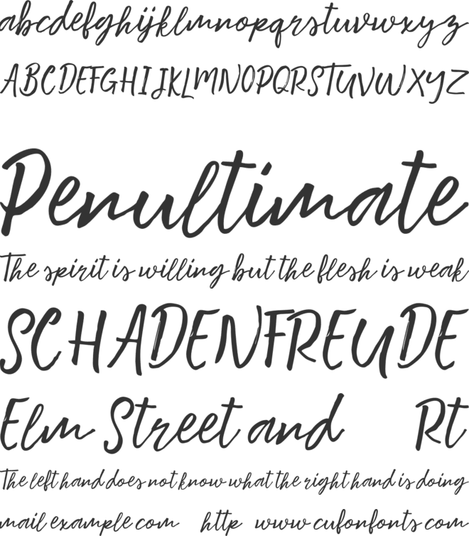 Motisan Brush font preview