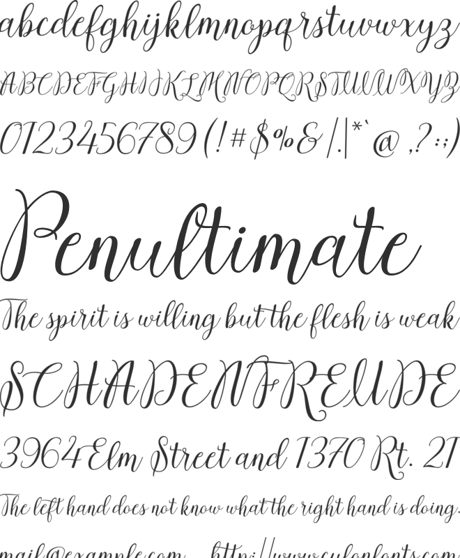 Morenthya Script font preview