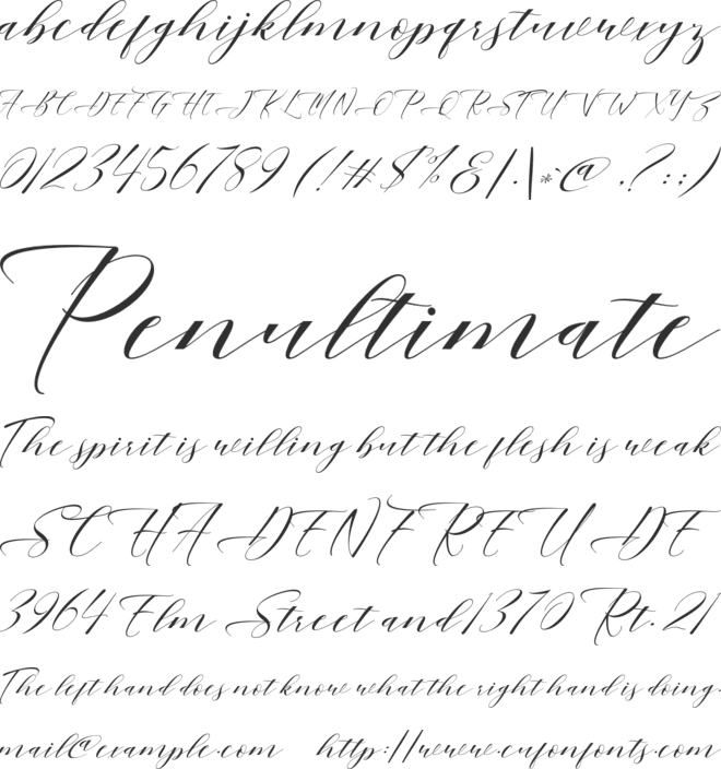 Mahogany Script font preview