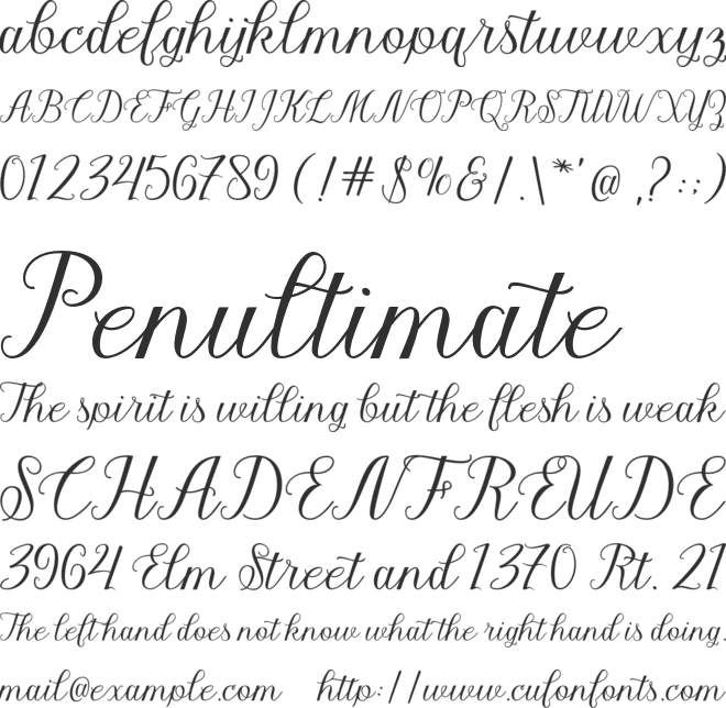 Madelina Script font preview