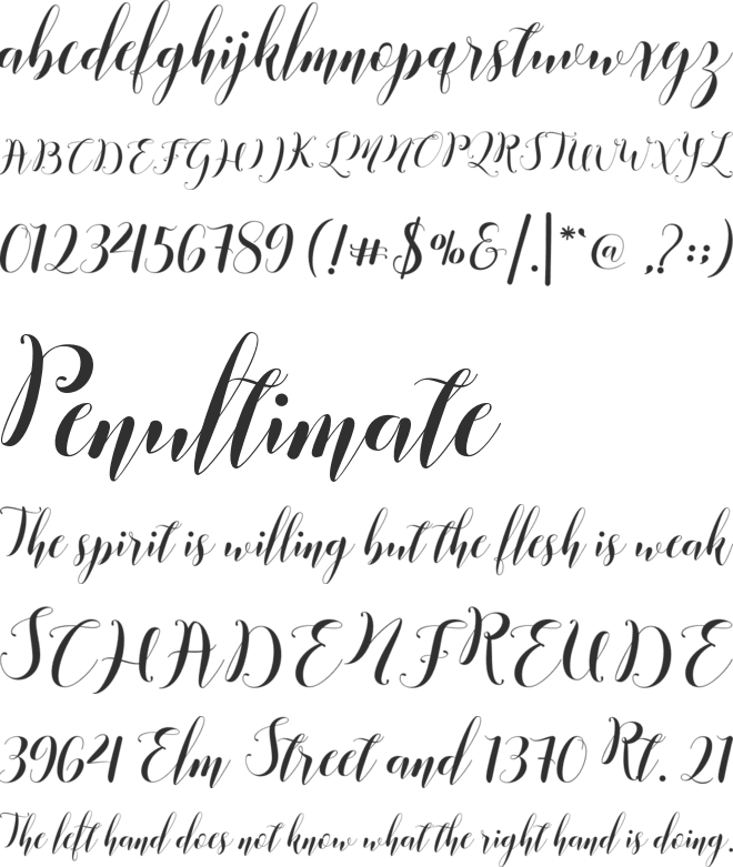 Ismelda Script font preview