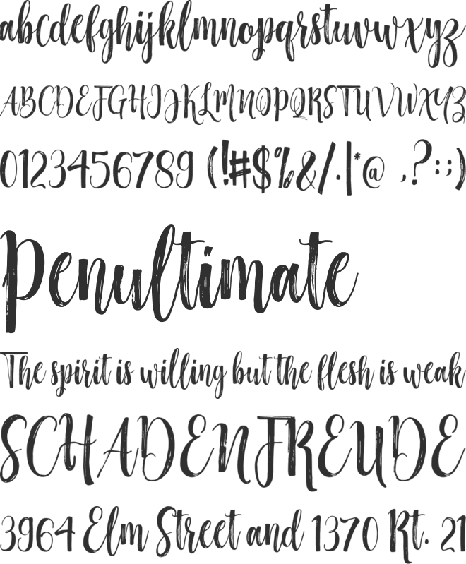 Hottemp Brush font preview