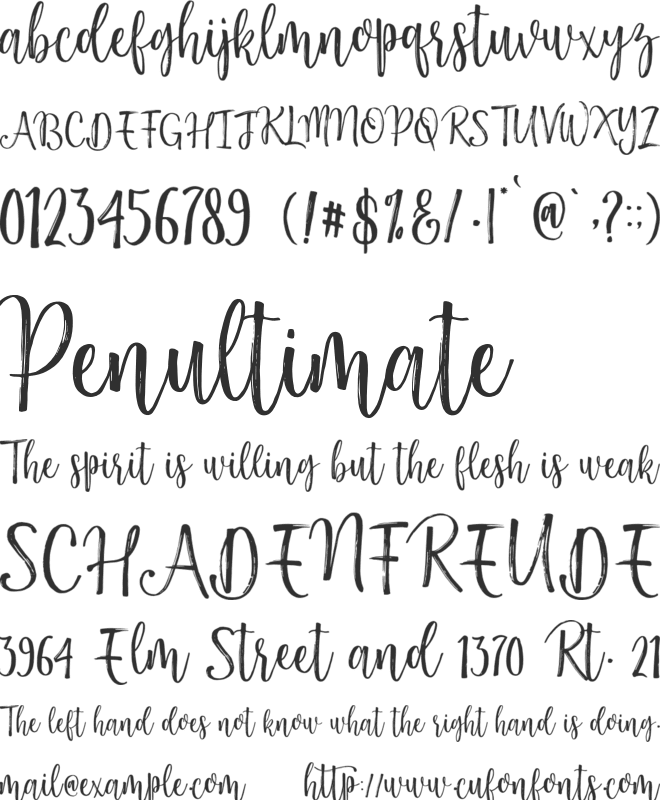 Darling Harbour Brush font preview