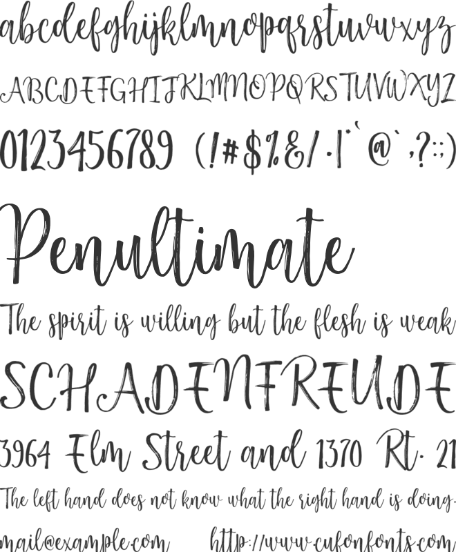 Darling Harbour Brush font preview