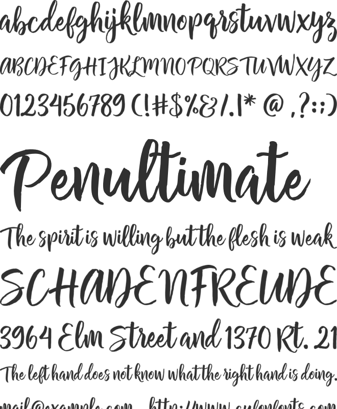 Chamelia Script font preview