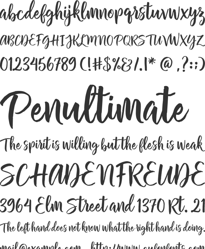 Chamelia Script font preview