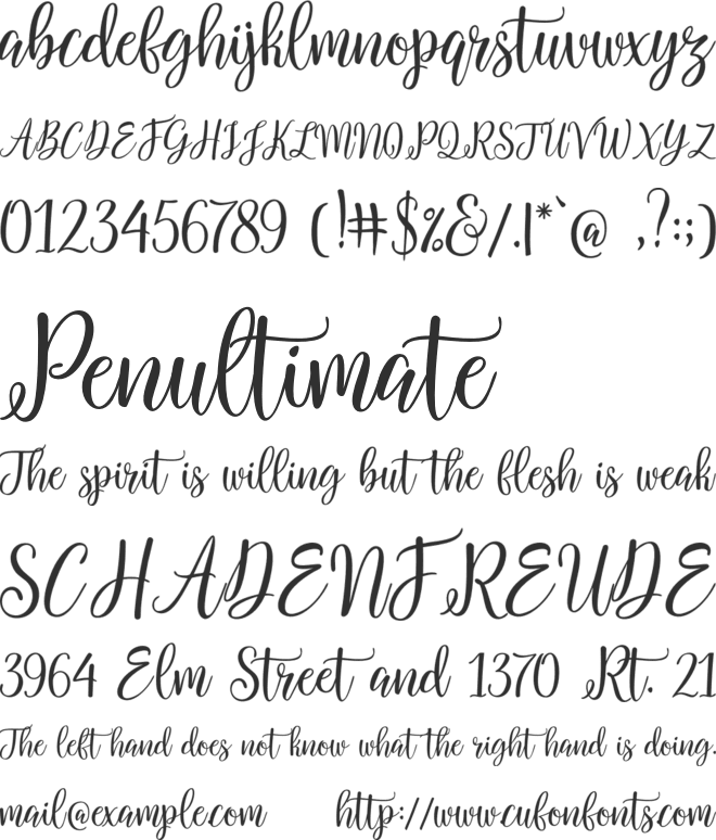 Salbatora Script font preview