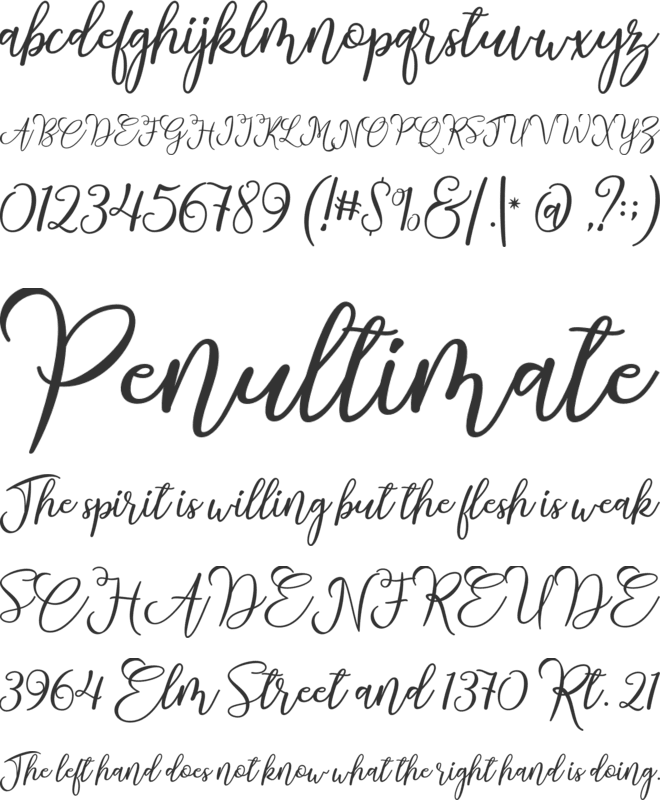 Strongman Script font preview