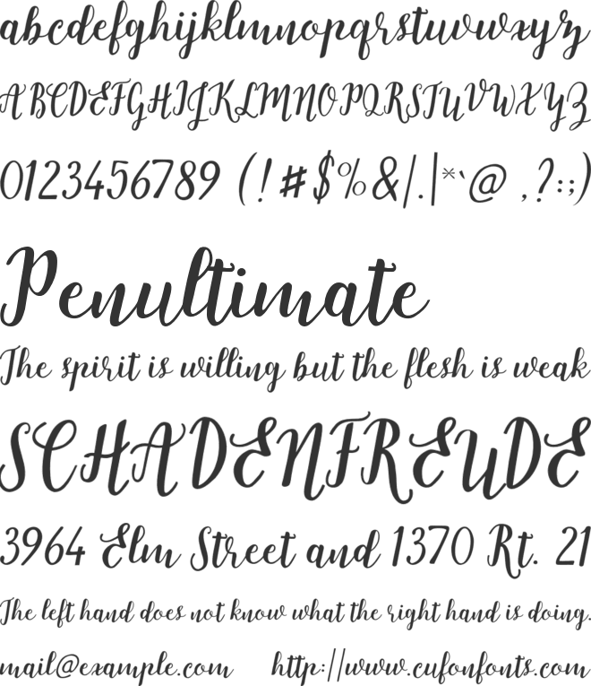 Strengthen Script font preview