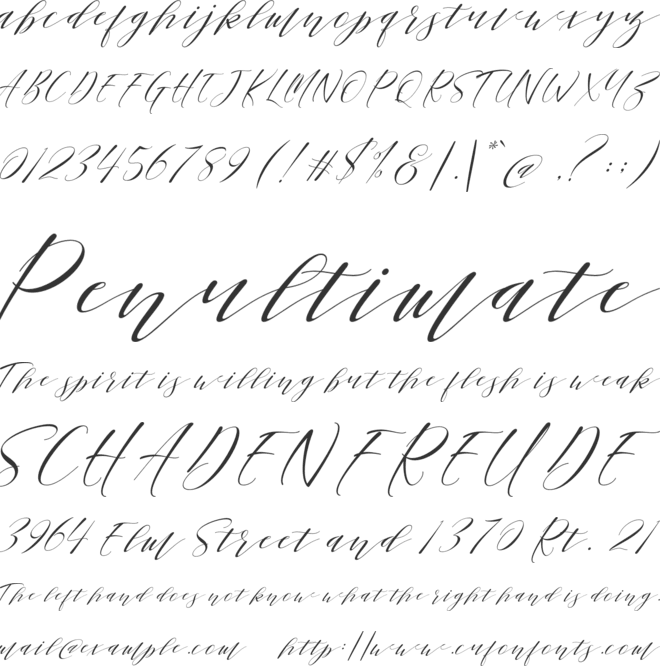 Sheraton Script font preview