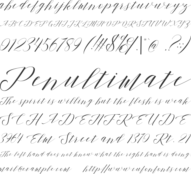 Shanti Script font preview