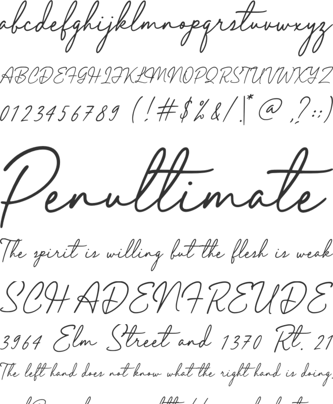 Elegant Lady font preview