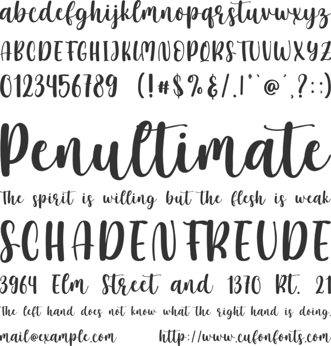 Christmas Everyone font preview