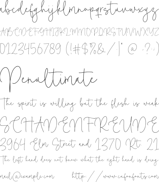 Camelia Boutique font preview
