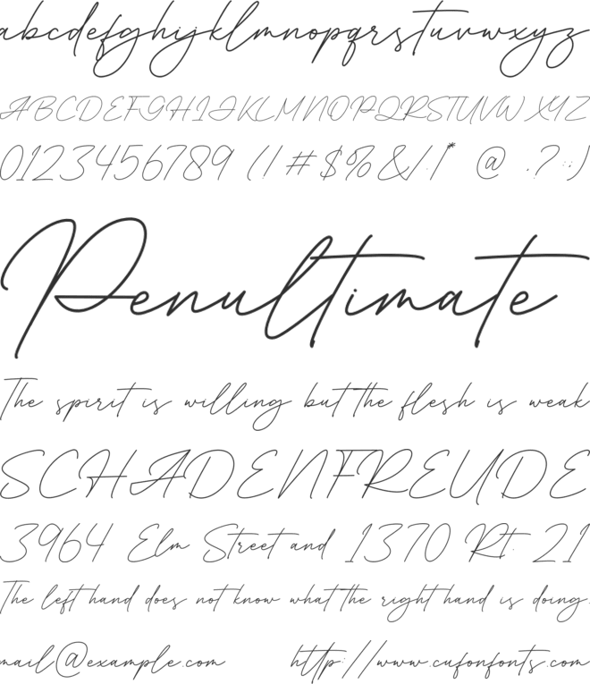 Consultant font preview
