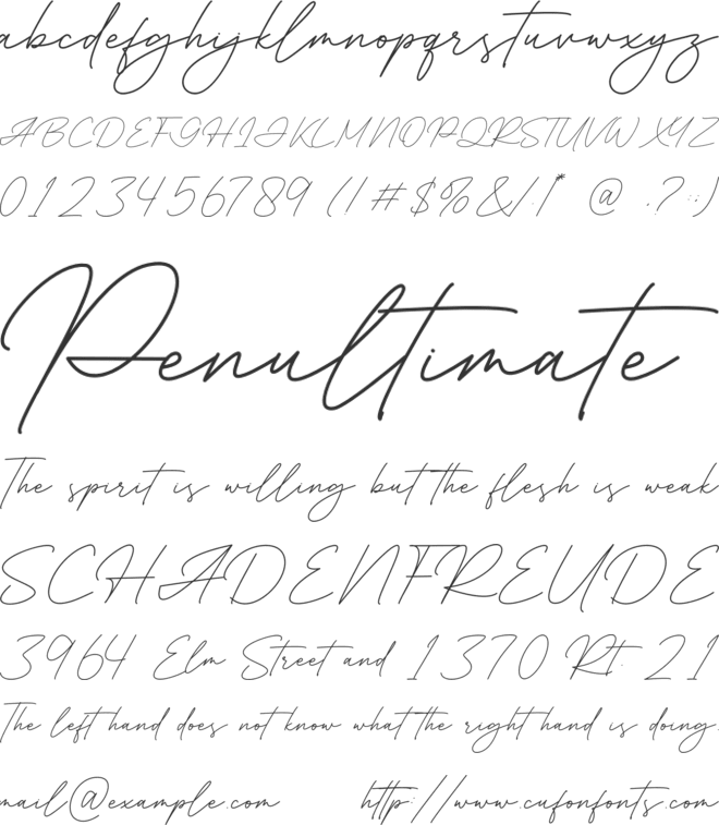 Consultant font preview