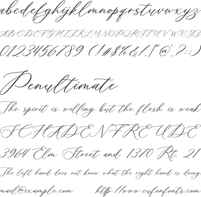 Meldyte font preview