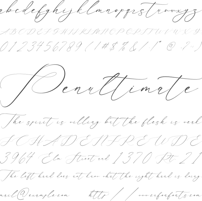 Flavinda font preview