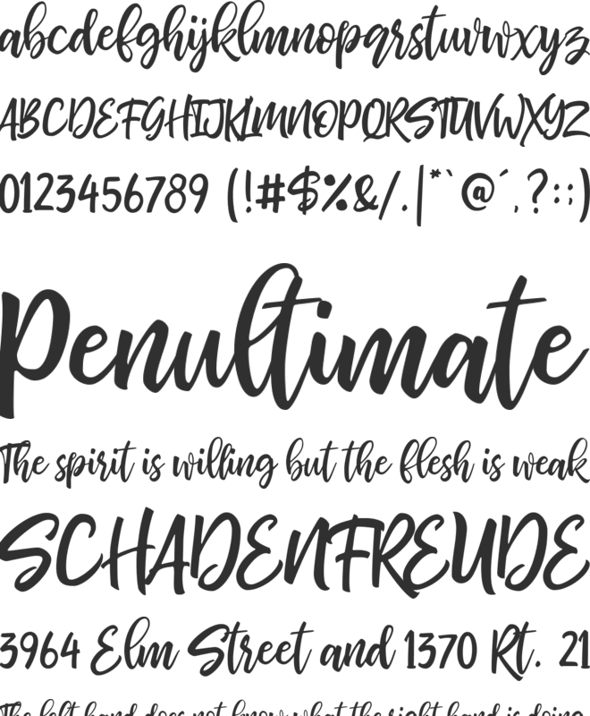 bhatoshine font preview
